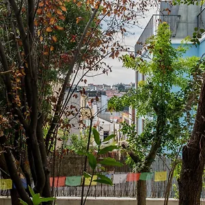 Lost :: Avenida House Gasthuis